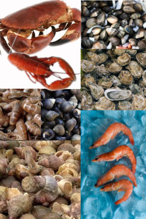 Panier Royal De Bretagne Plateau De Fruits De Mer De Luxe Fraicheur Et Plaisir Reunis